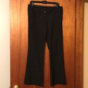 The Limited bootcut Pants